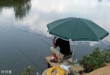 新手必备初夏垂钓的3个技巧