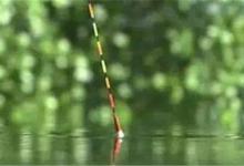 不会看漂相的新手快来学习，助你秋钓鱼获满满