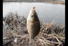 南方冬季钓鱼的钓具饵料搭配经验分享