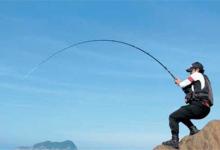 2种方法，让你秋季钓到更多大鲫鱼