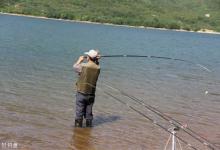 立秋后，判断鱼情的三个小技巧