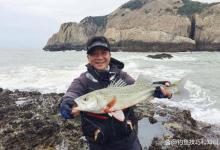 春季如何钓海鲈鱼？哪种鱼饵效果好？春季钓海鲈鱼的4个要点