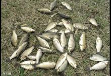 冬季筏矶竿钓鱼的个人体会