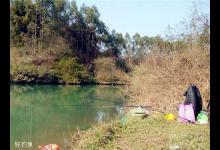 春季野钓如何调漂及饵料味型的选择