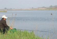 4招让你夏季钓鱼有个好渔获