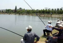 告诉你夏季高温天气钓鱼的几个实用技巧