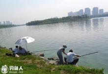 秋季垂钓根据鱼情选位的技巧