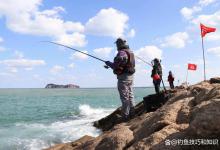 在海钓鱼饵中添加4种物质，大幅提高海钓鱼饵的诱食效果