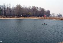 夏钓混养池的爆护技巧