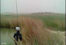 夏季大风天钓鱼的三个基本技巧