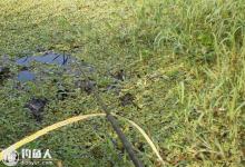 南方深秋钓鱼的时机选择及钓法经验