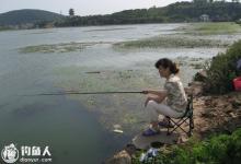 高手分享初秋钓鱼选择水深的技巧