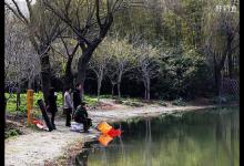 春钓滩：不同天气选位的应对技巧