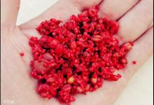 夏季野钓时如何用打窝和抛饵诱鱼