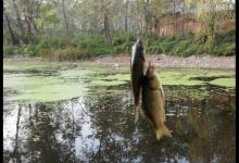 早春钓鱼收获高的五个应对方法