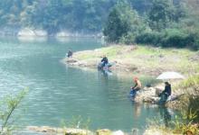 春季钓鲫鱼的天气选择