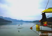 冬天钓鲤鱼，鱼饵中添加这3种常见物质，诱食效果很给力