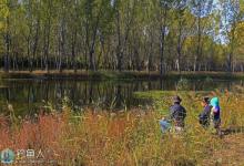 水体溶氧量与秋钓杆塘的关系