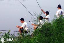 夏天钓鱼的八个实用技巧