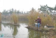 早春淡水钓鲫鱼的选点常识