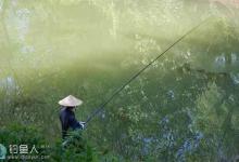 冬春活钓鲫鱼的五大要点