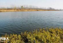 早春遇大风浪如何钓鱼？老钓手总结的经验