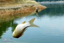 初秋时节垂钓选择钓位的技巧