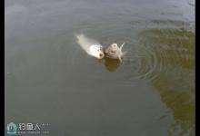 在严寒冬季垂钓的秘籍技法分享