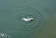 冬季钓鱼的逗钓条件介绍