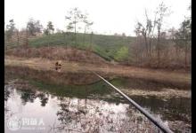 高手支招 冬末春初枯草处的垂钓技巧