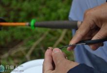 南方冬钓鲫鱼的实践总结