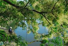 春天在浅滩钓鲫鱼的实战经验