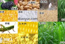 夏季在水库钓鱼最完整的技巧