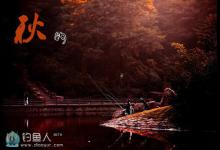 秋季钓鱼小技窍实用大全