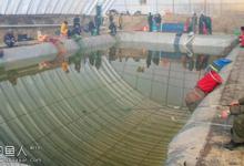 冬钓黑坑大棚的四点技巧