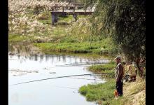 低温天钓鱼应注意三选（天气、钓场、钓法）