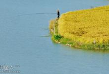 秋季钓鱼的四分四宜