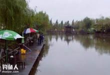 晚春鱼儿难钓的原因分析以及解决办法