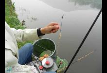 自然因素影响深秋垂钓的应对技巧