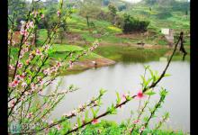 春季南方水库钓鱼的几点建议