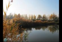 新手必看的秋钓常识与技巧