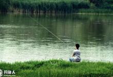夏季钓鱼的请注意四要和四不宜