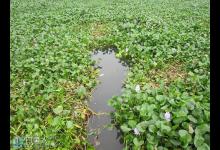 初秋垂钓的四个技巧总结