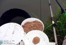 解析春季垂钓的用饵之道