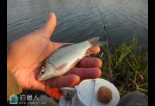 冬钓常见问题解答（用饵、找底、诱鱼）