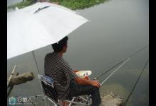 为何说在夏季神仙难钓午时鱼呢