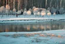 冬季钓鱼技巧（习性、天气、钓场、钓点、钓法）