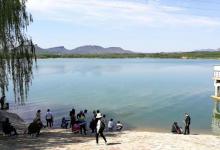 收费水库投放养殖鱼，成为“人放天养”，钓这类鱼有什么讲究？