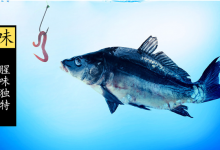 通过红虫和蚯蚓的7个特征对比，让你知道在垂钓中选用哪个更好