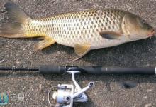 钓友总结春天垂钓鲫鱼鲤鱼的基本技巧